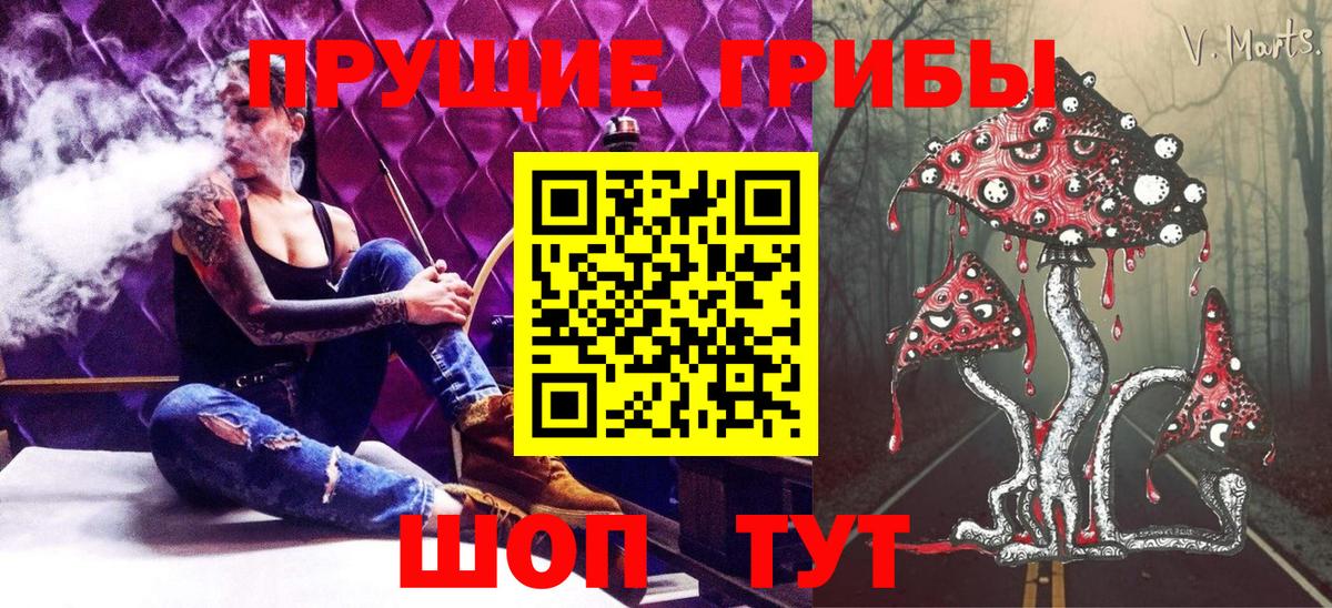 Чехов  Псилоцибиновые грибы MAGIC MUSHROOMS  Вход с VPN  Галлюциногенные грибы Cubensis 