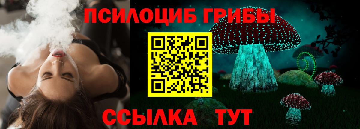 Псилоцибиновые грибы Cubensis Чехов